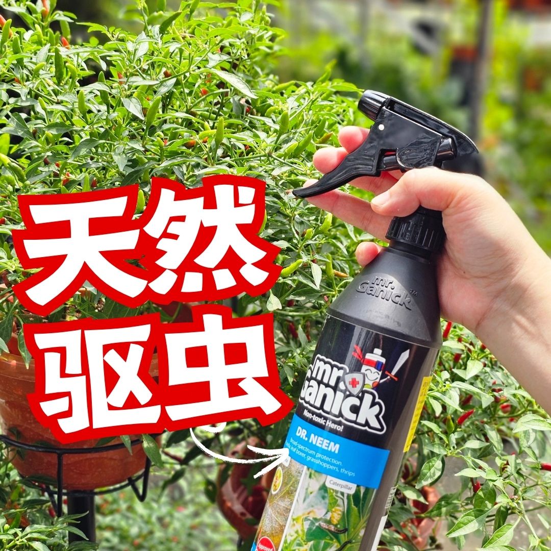 Baba Gardening Facebook ad
