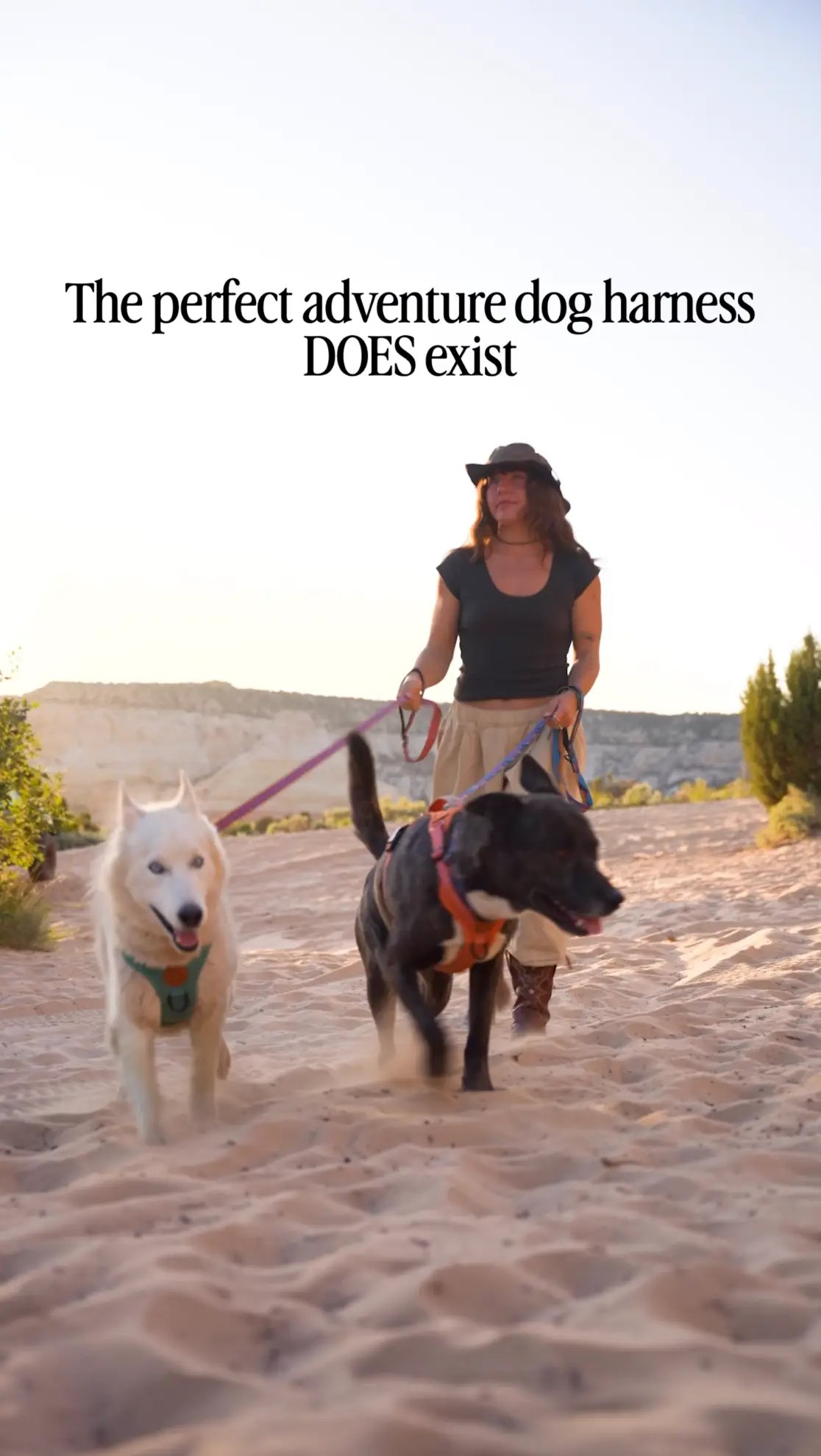 Wilderdog Facebook ad from Aug 5, 2026
