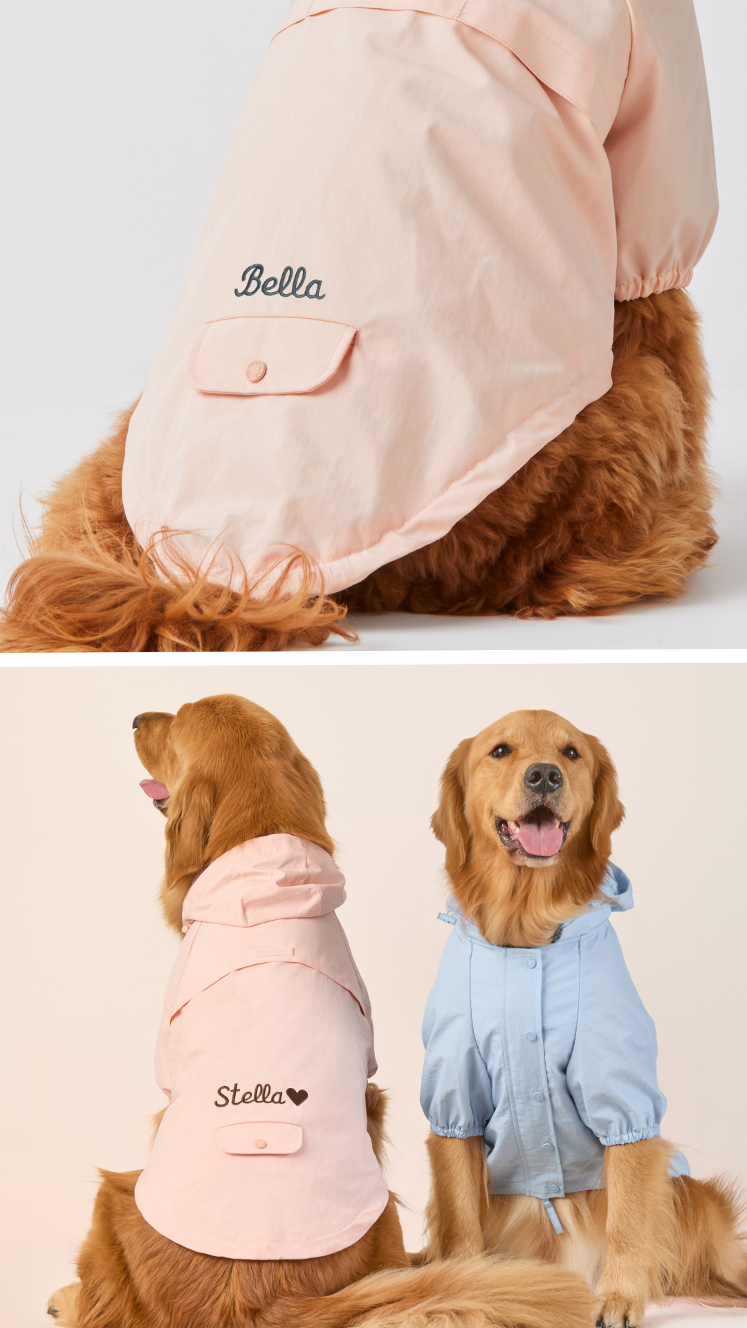 The Foggy Dog Facebook ad