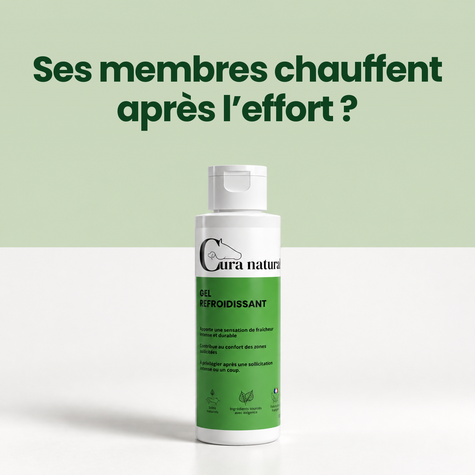 Cura naturale Facebook ad: Gel refroidissant pour cheval · Note 4,9/5