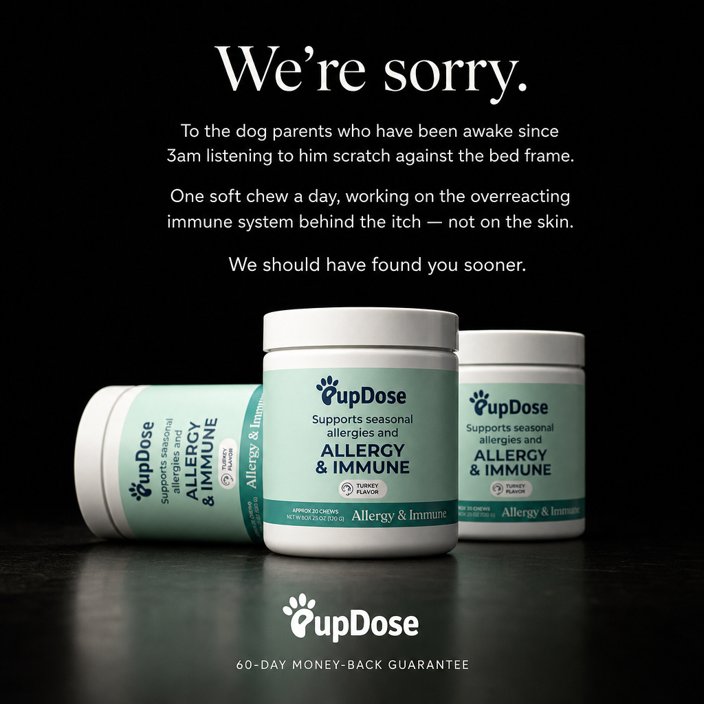 Proud Dog Parents Facebook ad: An Apology To Every Owner Awake At 3AM