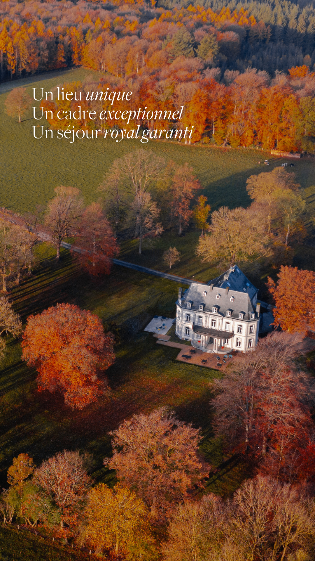 Chateau de la Louveterie Facebook ad from Nov 4, 2024