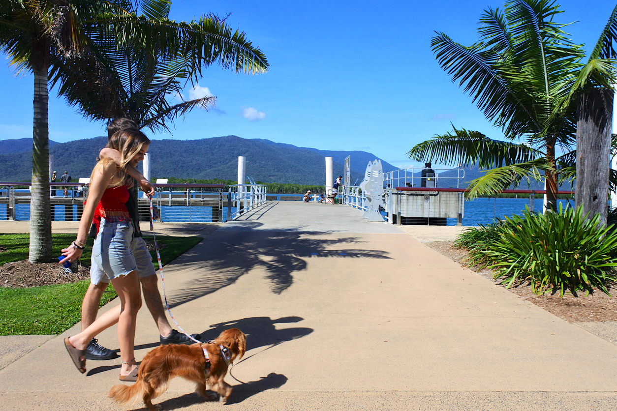 Aussie House Sitters Facebook ad