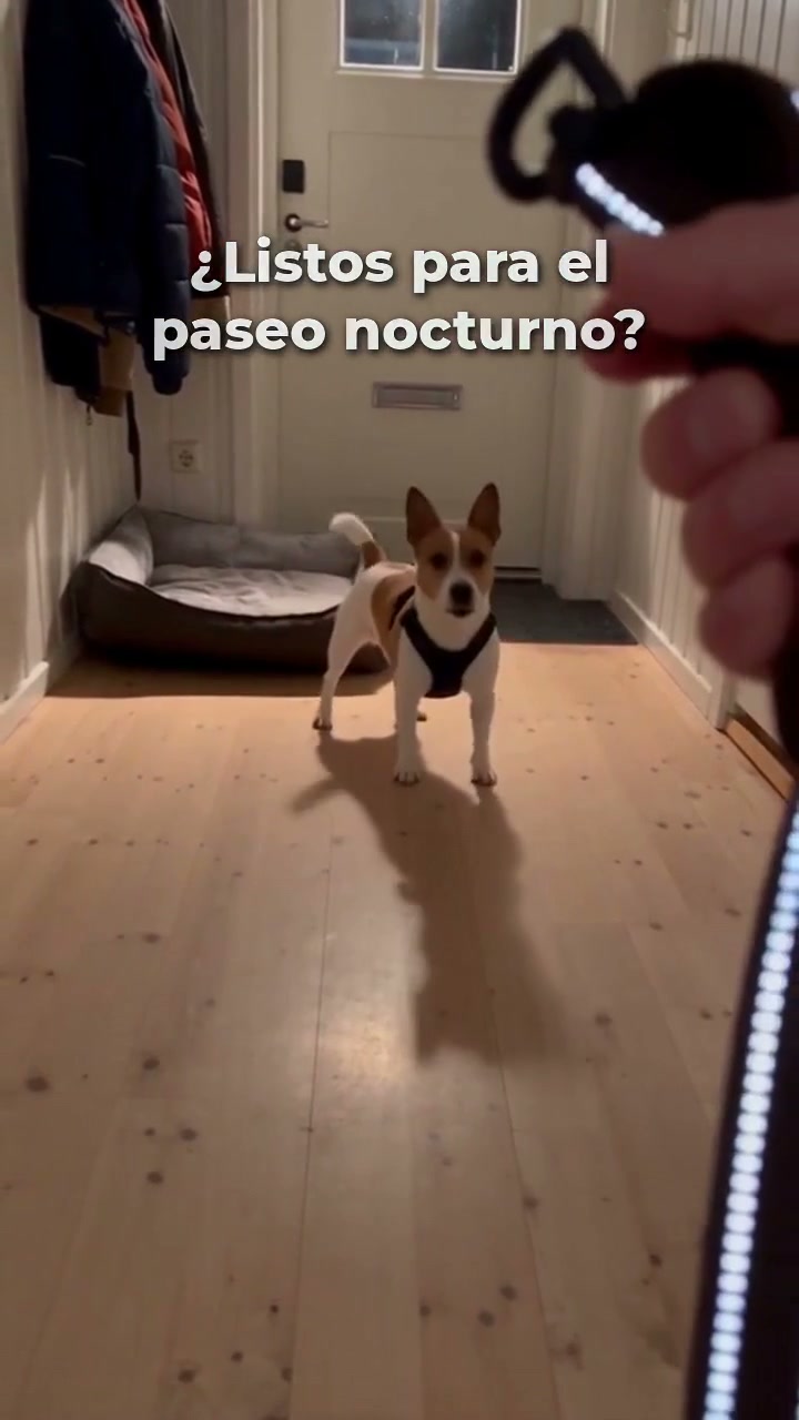 Petifo Facebook ad: Listos para el paseo en segundos