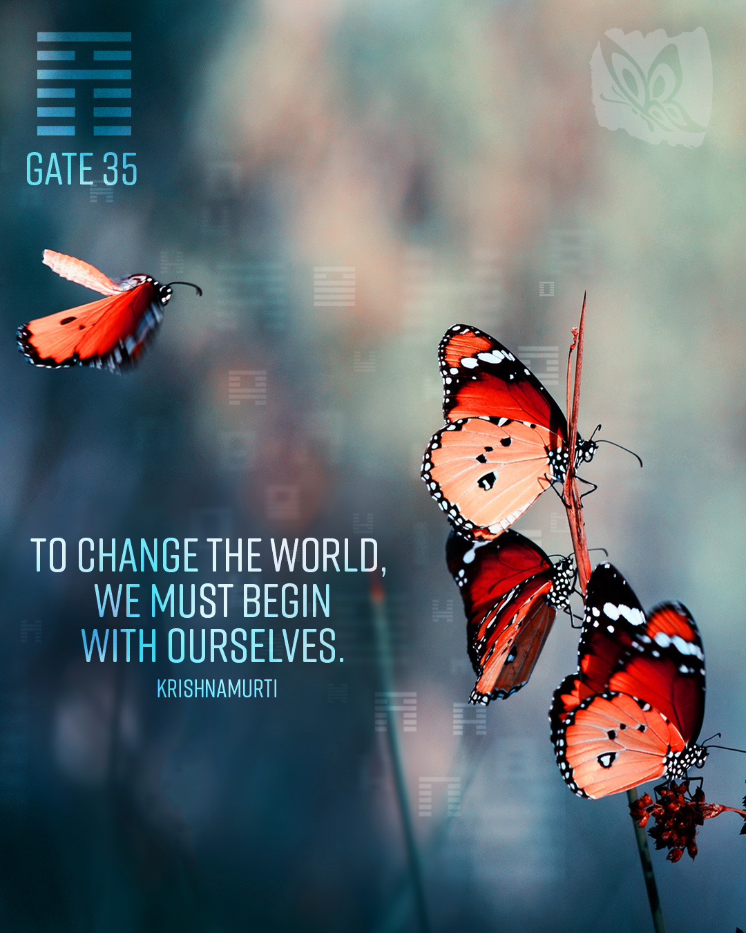 Embrace Human Design Facebook ad: Are you hungry for something new?