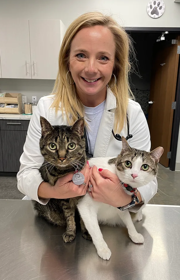 Paws & Care Vet Facebook ad
