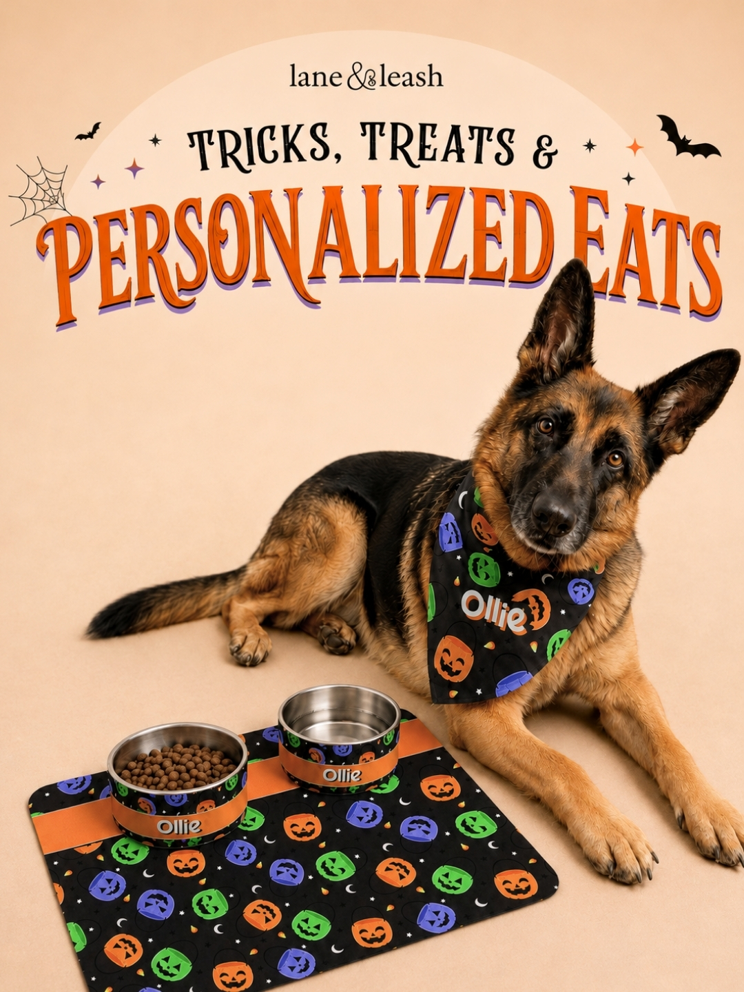 Lane&Leash Facebook ad