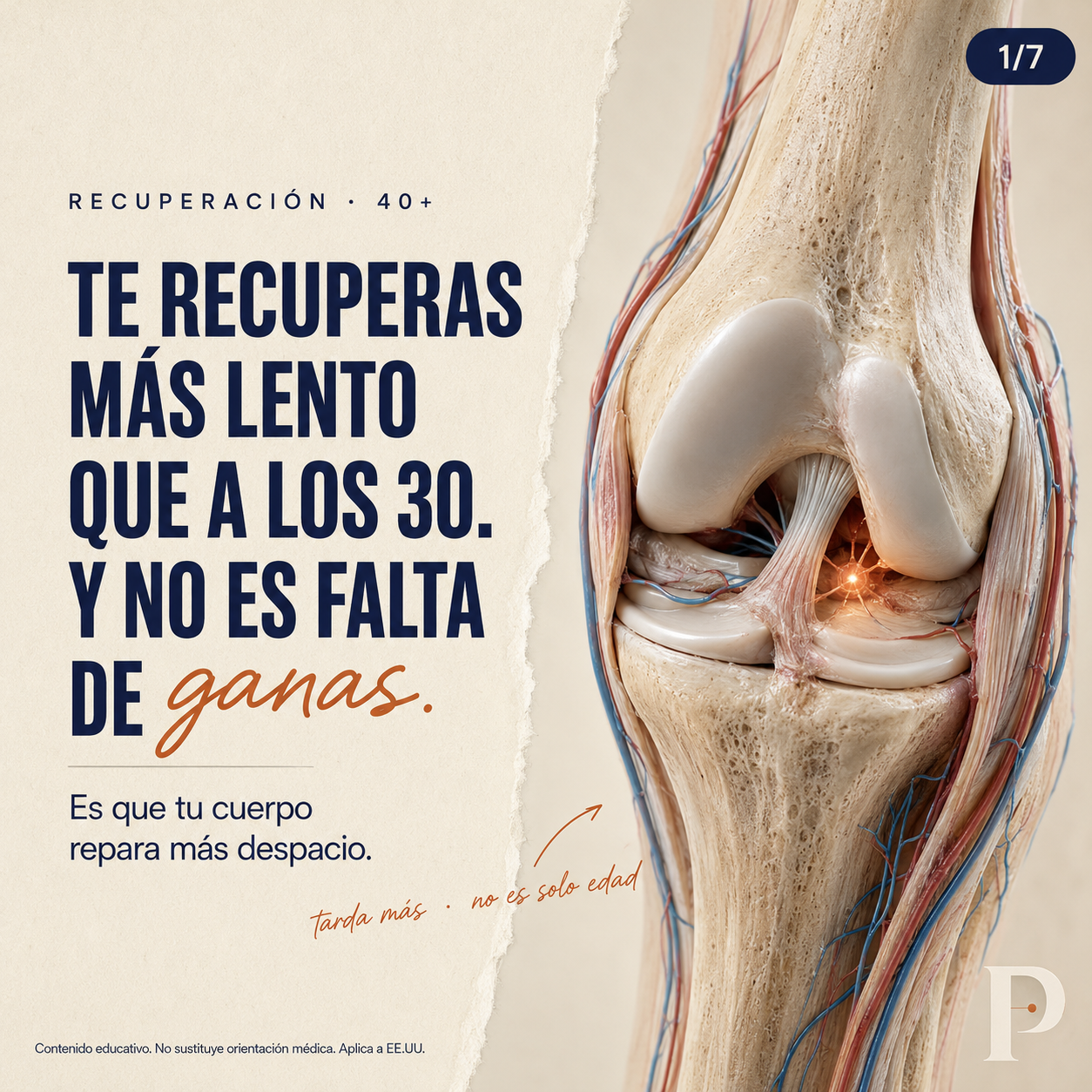 Prime Physique Facebook ad: Te recuperas más lento que a los 30.