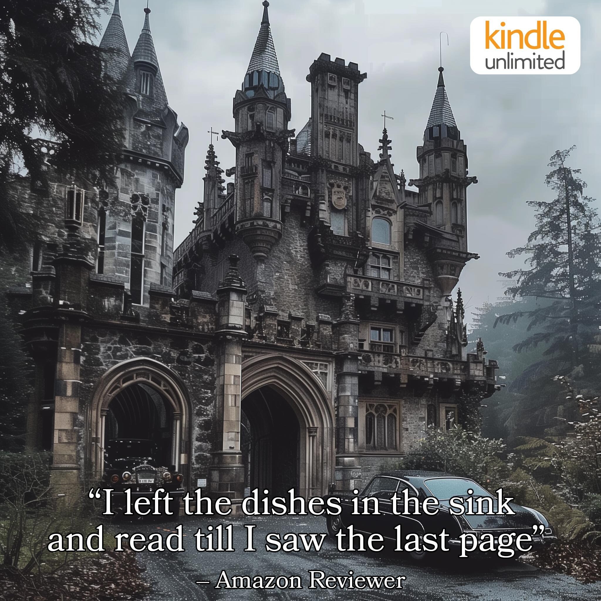 Nellie H. Steele, Author Facebook ad