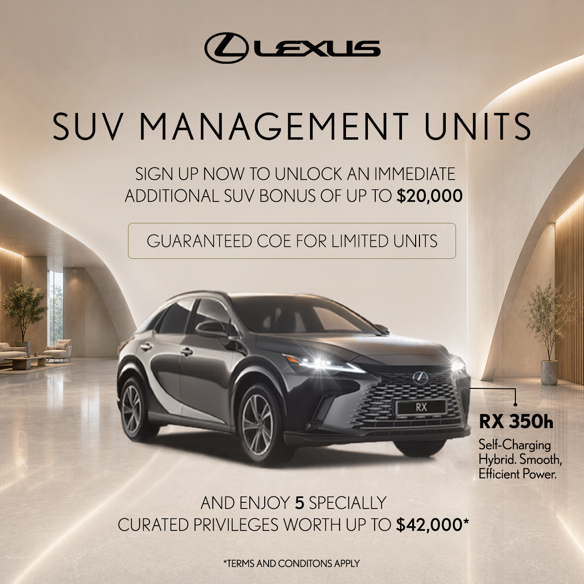 Lexus Singapore Facebook ad: Confidence that drives further