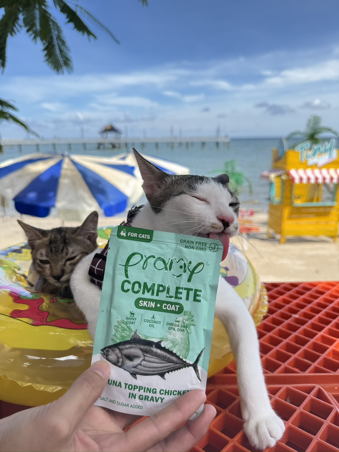 PRAMY อาหารแมวพรามี่ Facebook ad