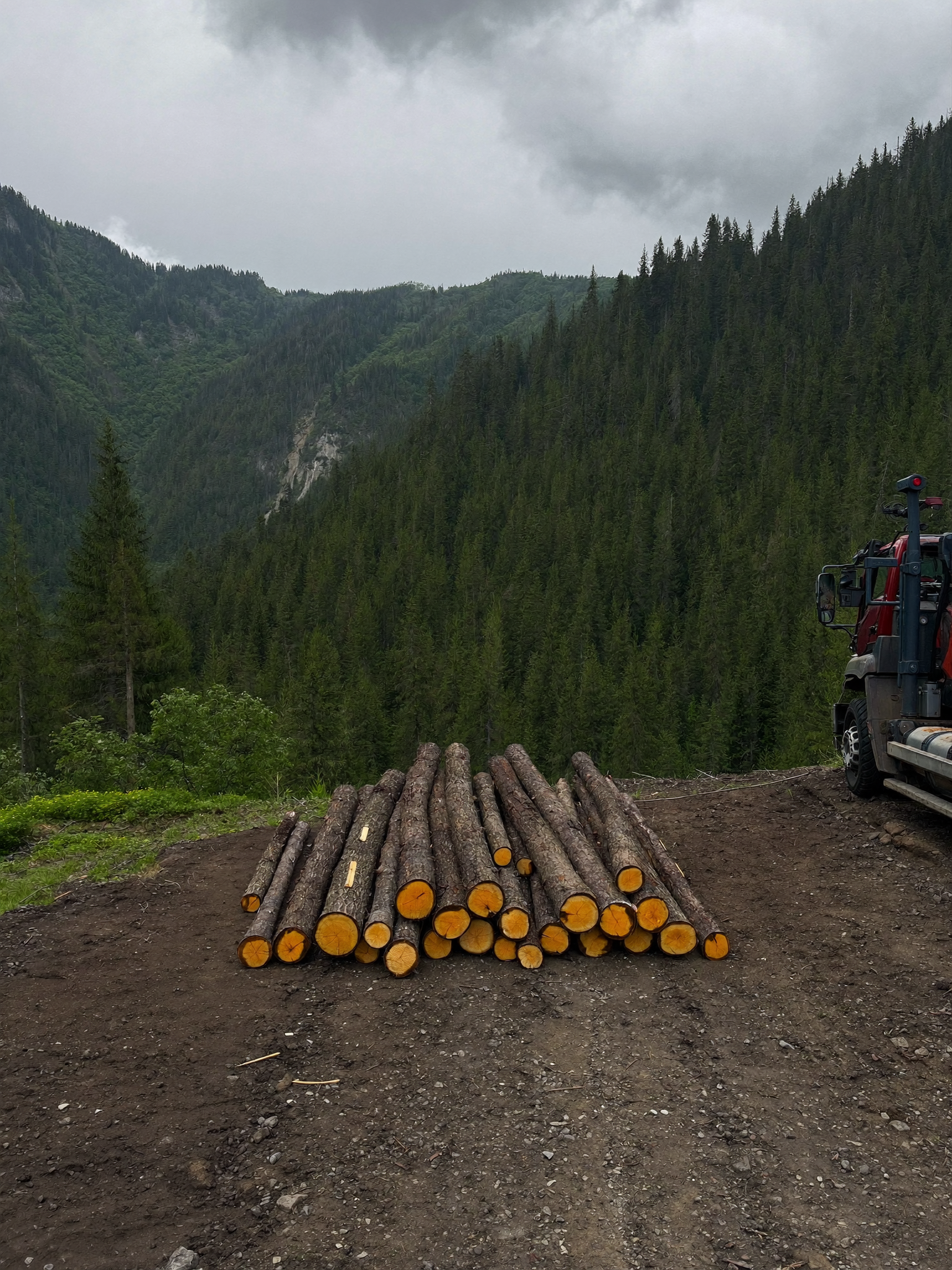Lenny Robinson Facebook ad: If you run heavy equipment, you need this tool