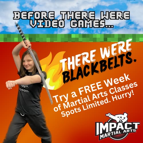 Impact Martial Arts Academy Facebook ad