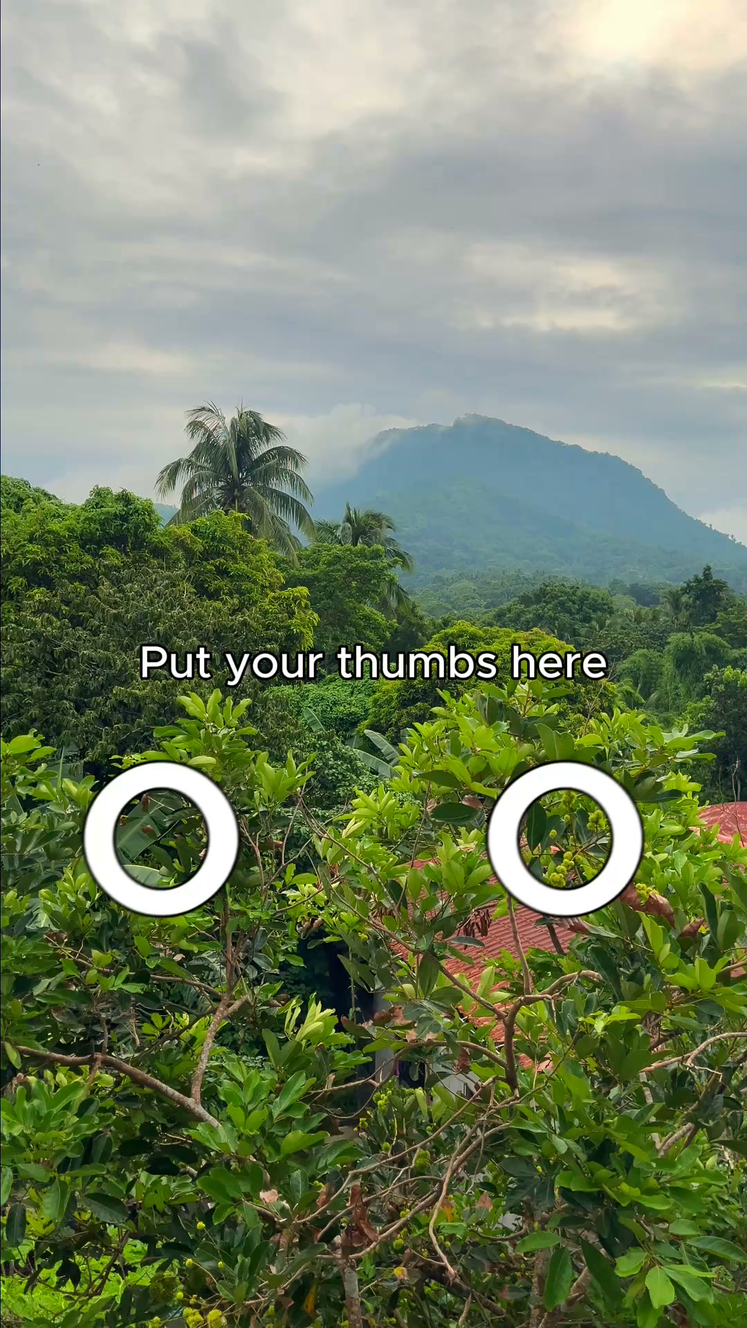 Uproot Clean Facebook ad: That musty smell in your house isn't your…