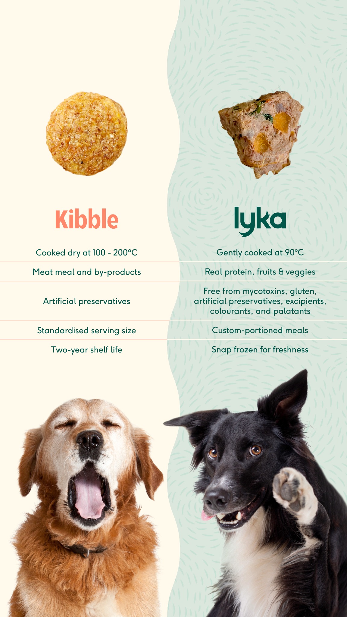 Lyka Pet Food Facebook ad