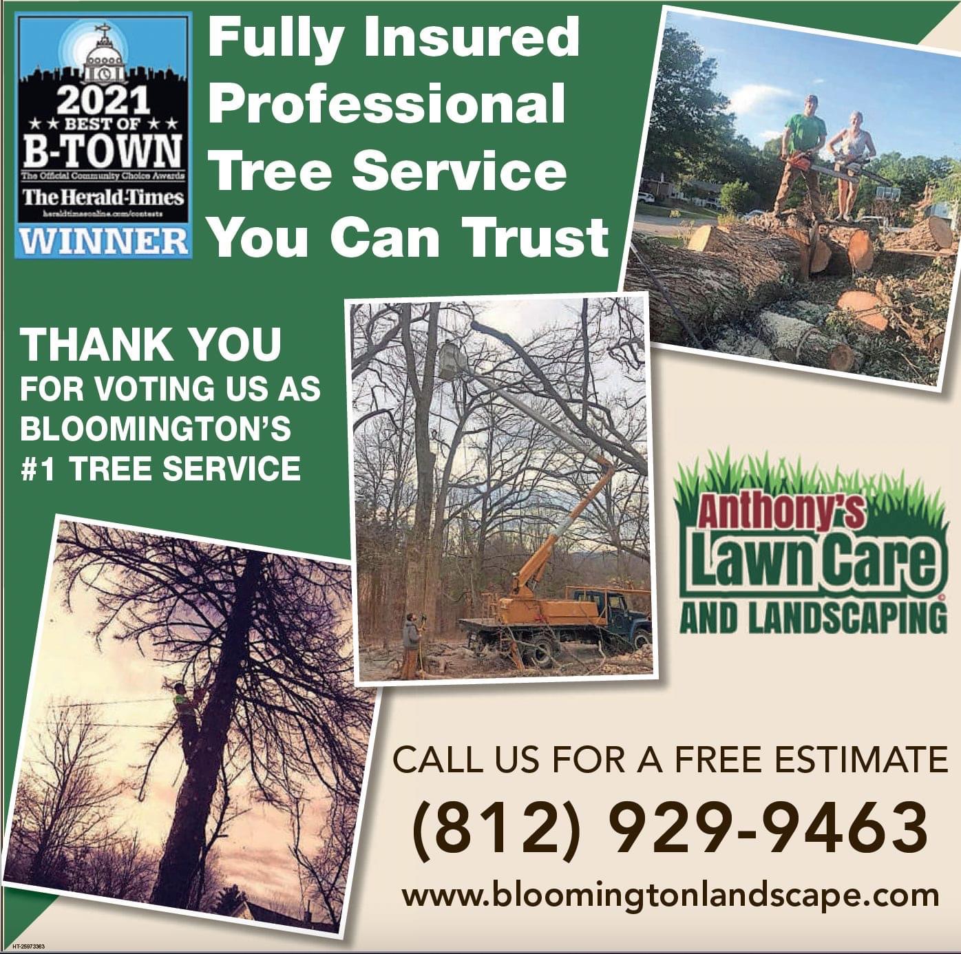 Anthony’s Home Services Facebook ad: 10% Off All Tree Services!