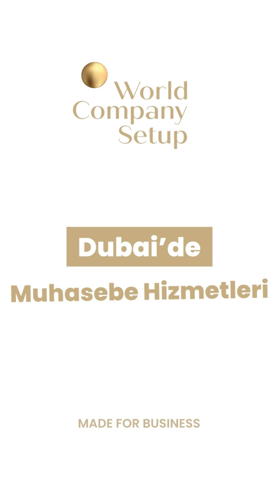 World Company Setup Facebook ad: Dubai’de muhasebe ve defter tutma hizmetleri, işletmenizin…