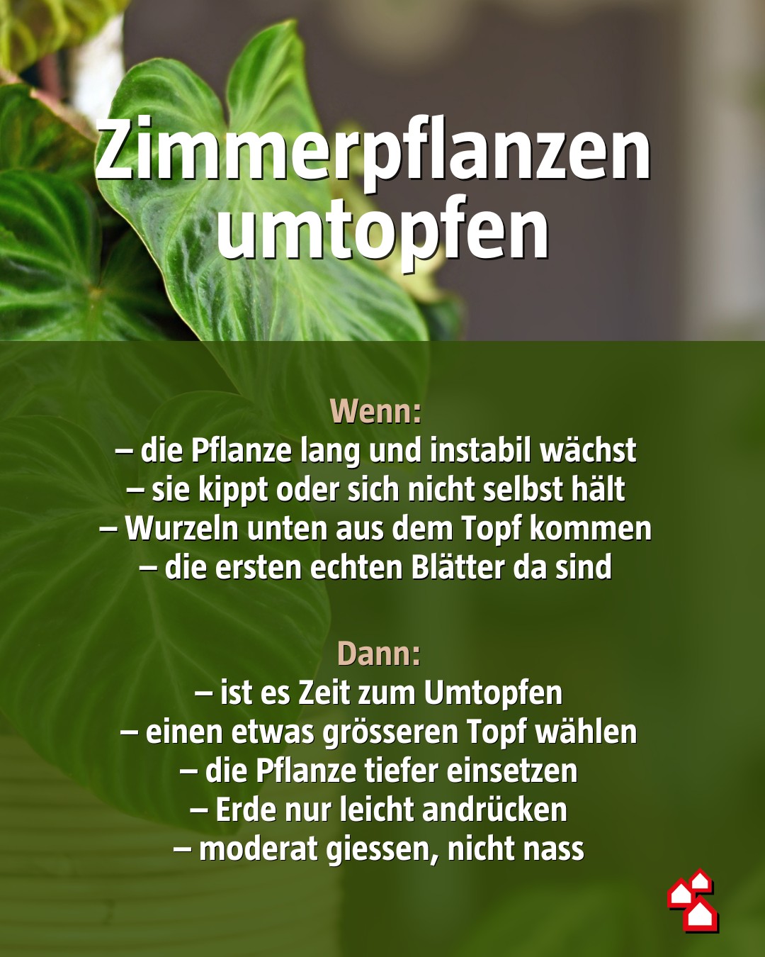 BAUHAUS Schweiz Facebook ad