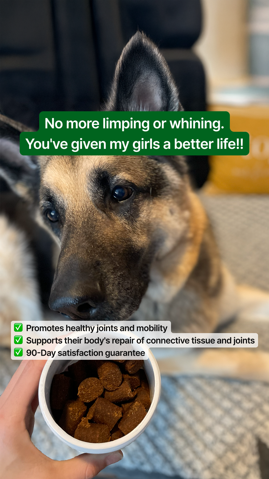 Wuffes Facebook ad