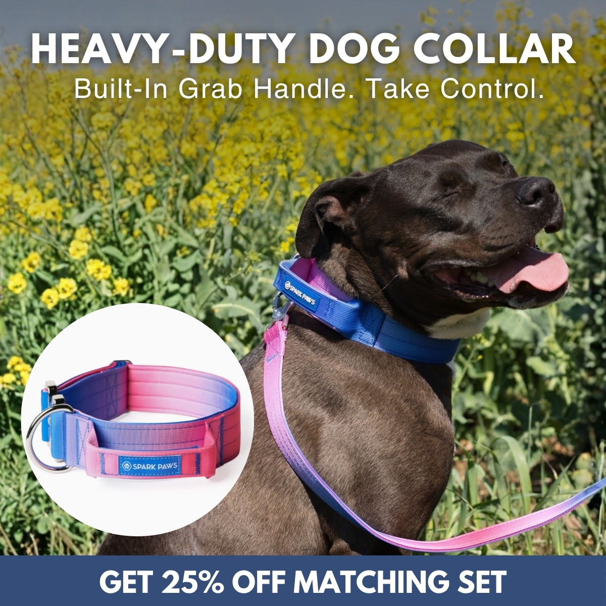 Spark Paws Facebook ad