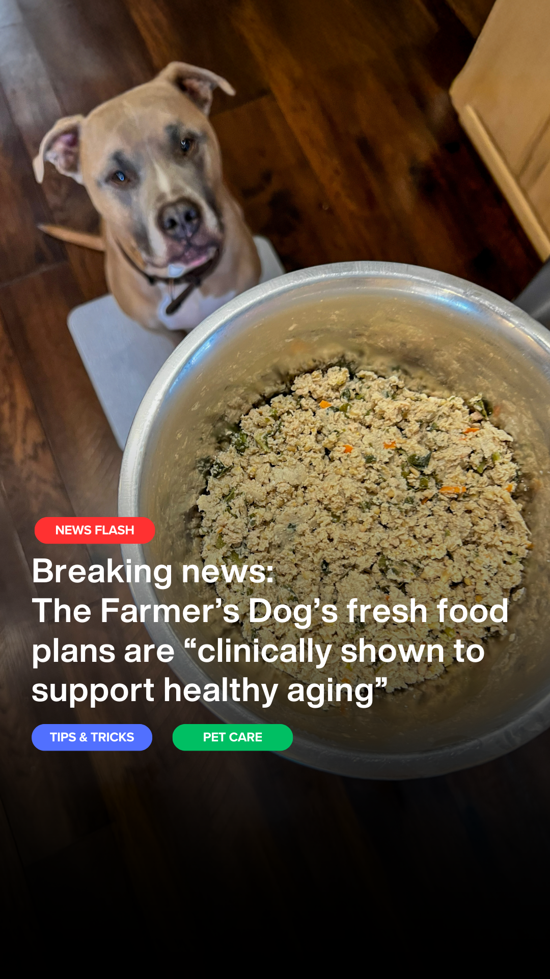 Ugckenz Facebook ad