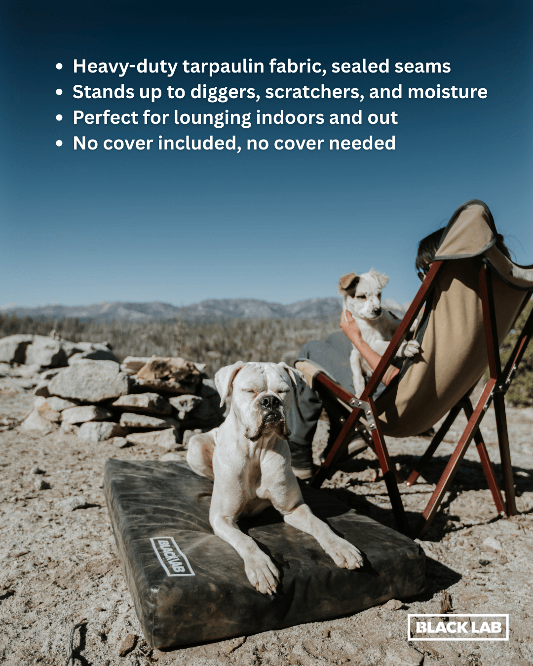 Black Lab Brands Facebook ad