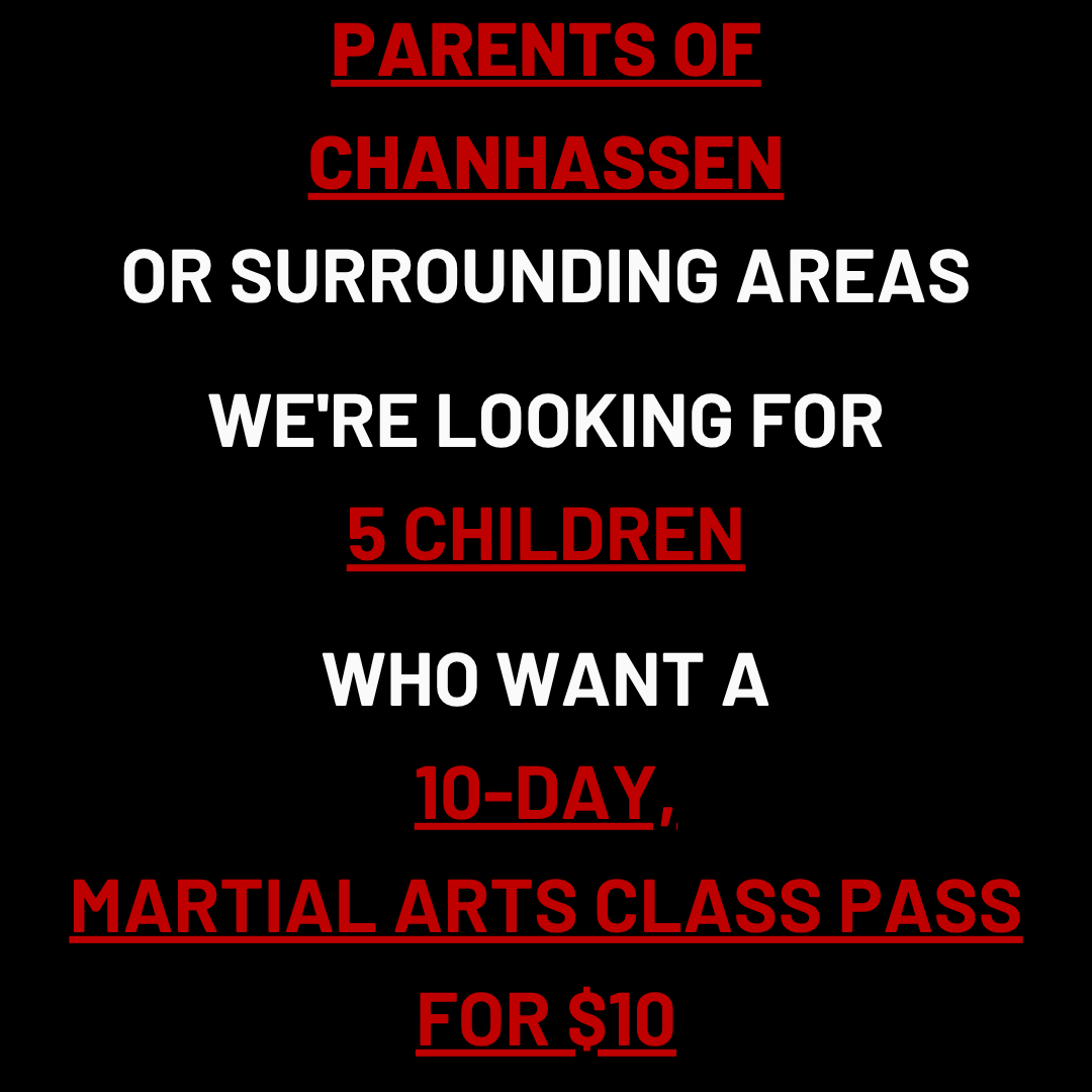 Metro Karate & Jiu Jitsu Academy Facebook ad: Want a 10-Day, Kids Martial Arts Class Pass For $10?