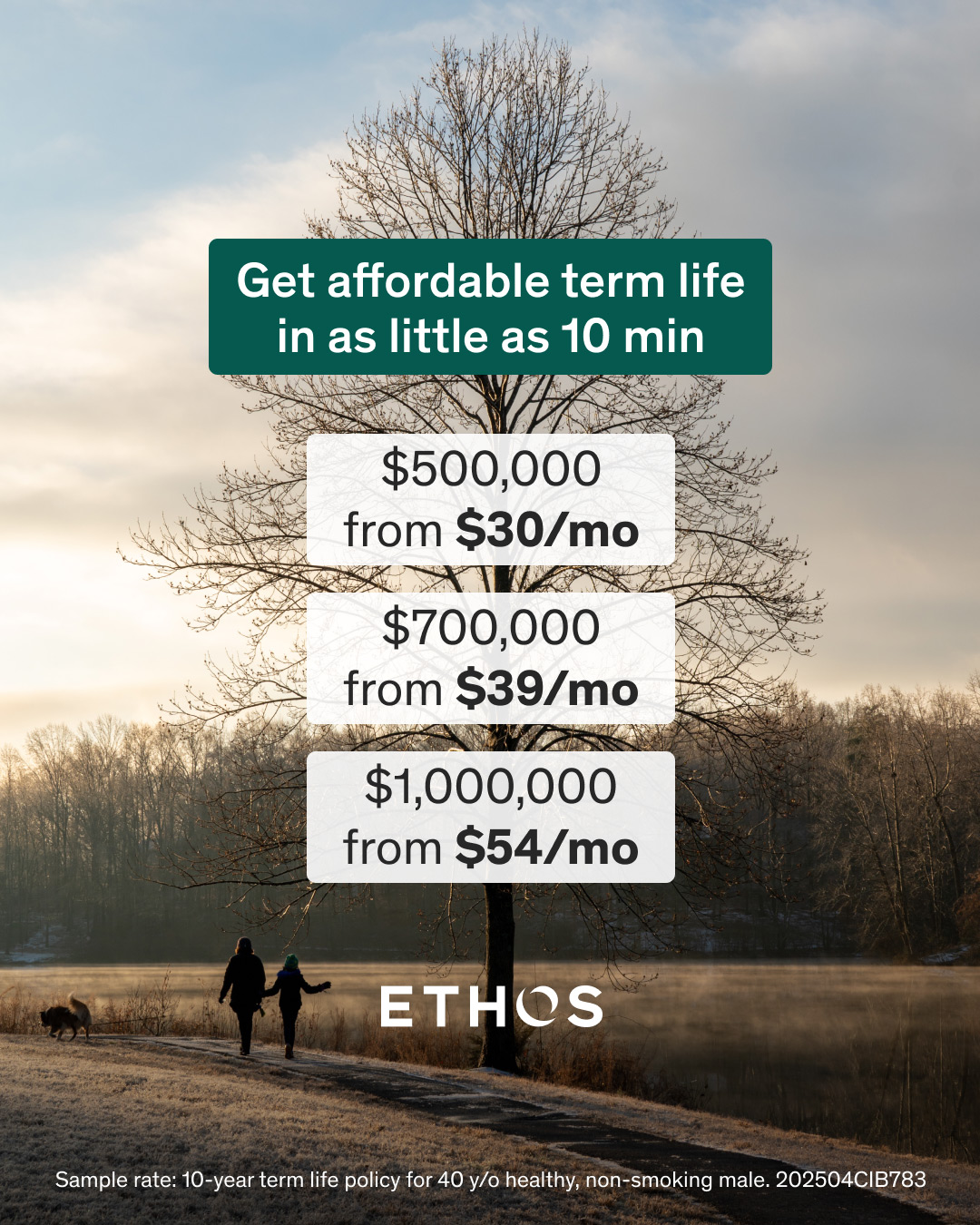 Tempered Agency Facebook ad: Life insurance made easy