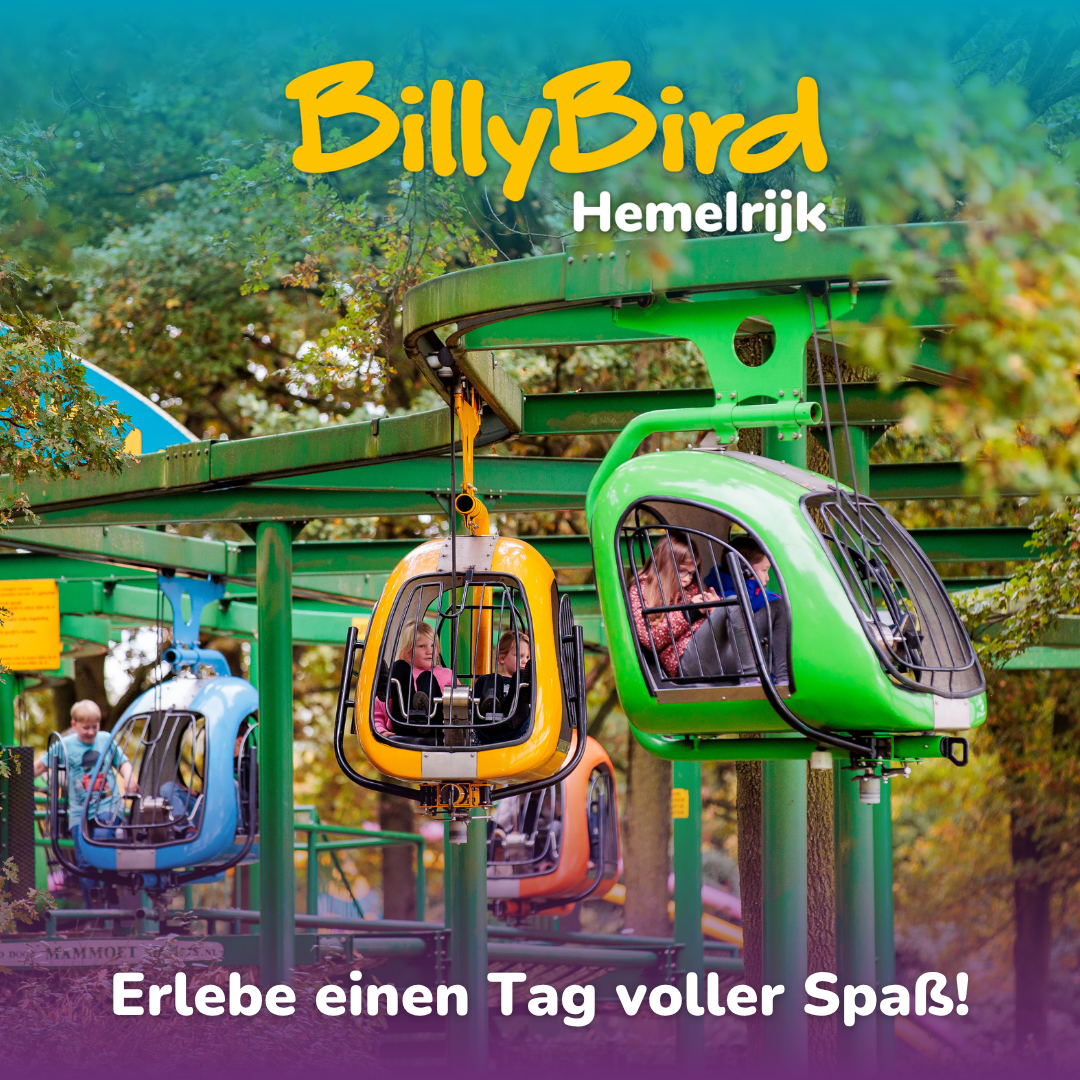BillyBird Hemelrijk Facebook ad