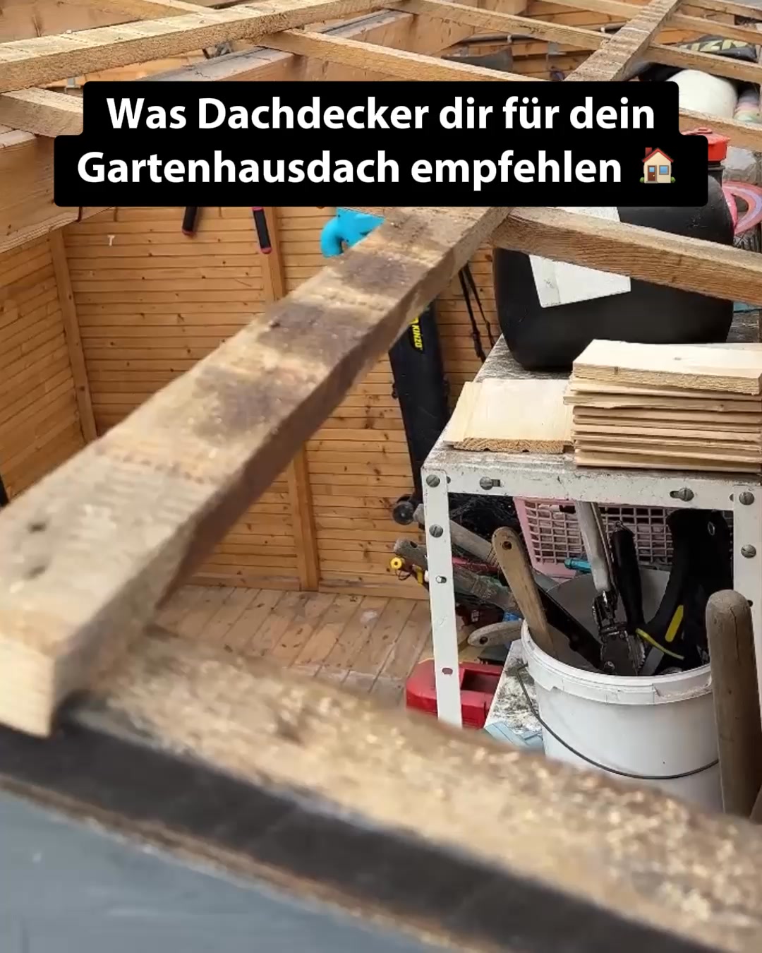 dachbleche24 Facebook ad: Das richtige Dach für dein nächstes Vorhaben