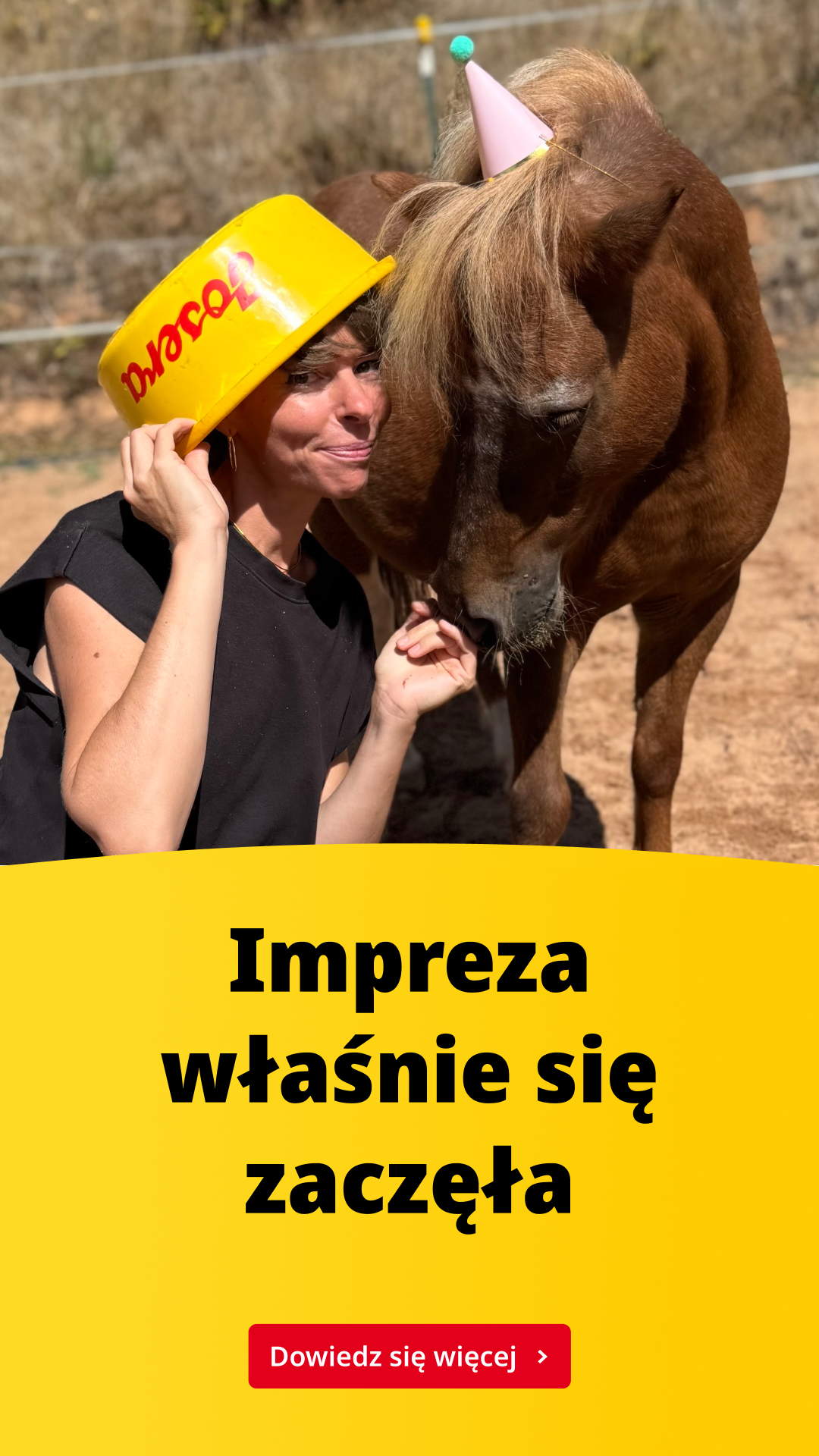 Josera żywienie koni Facebook ad