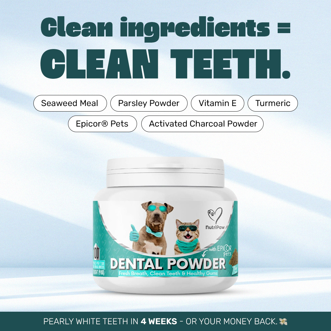 Healthy Dog 24/7 Facebook ad