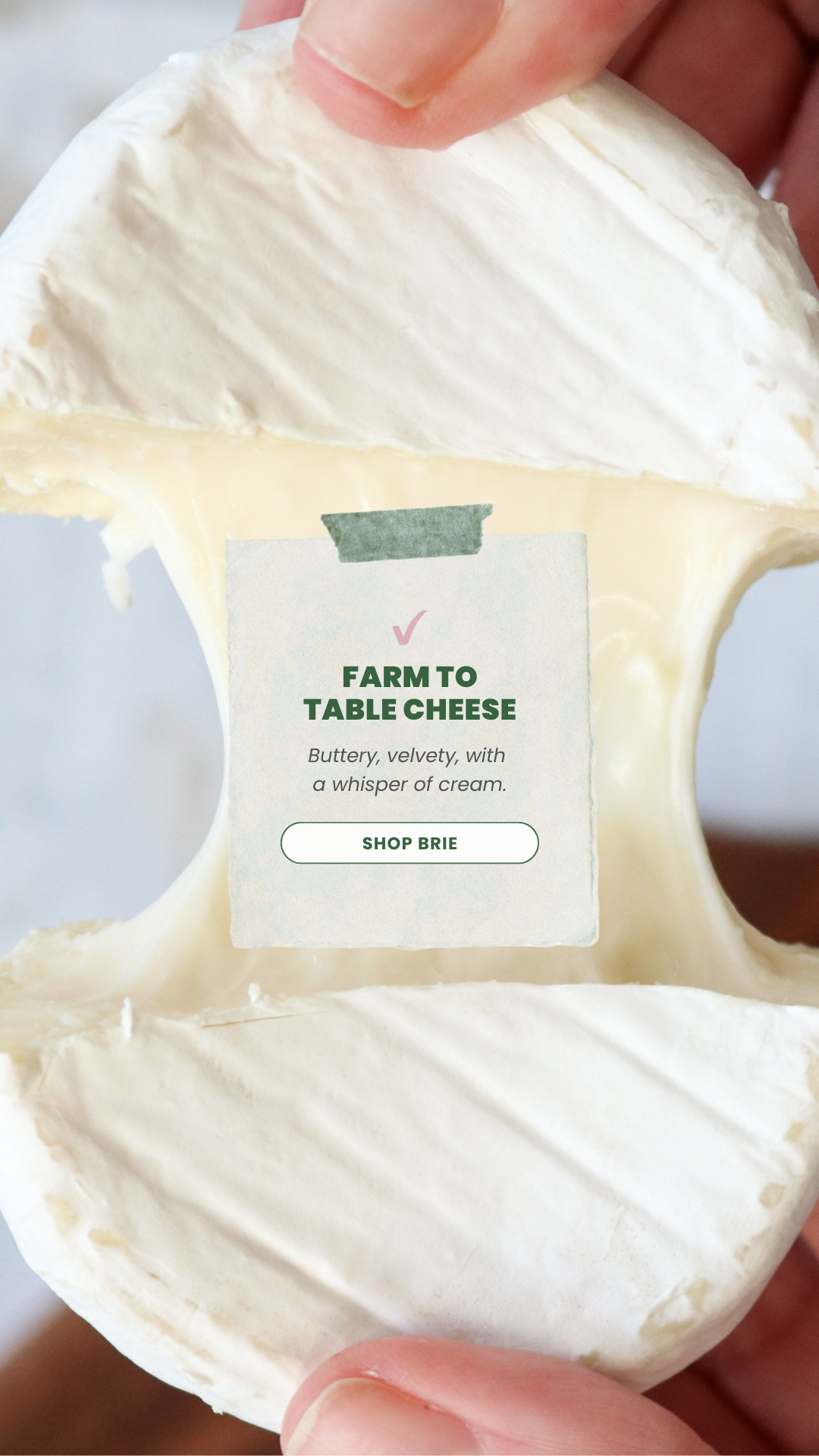Point Reyes Farmstead Cheese Facebook ad