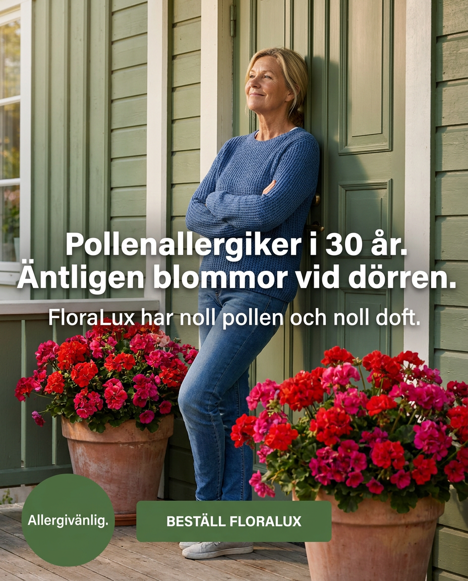 Norillo Facebook ad