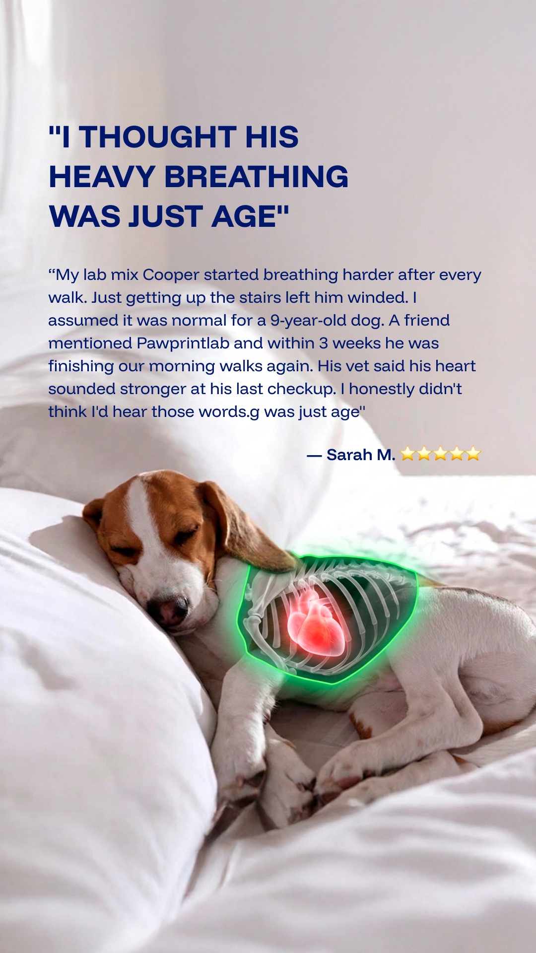 Vet-Approved Pet Products Facebook ad