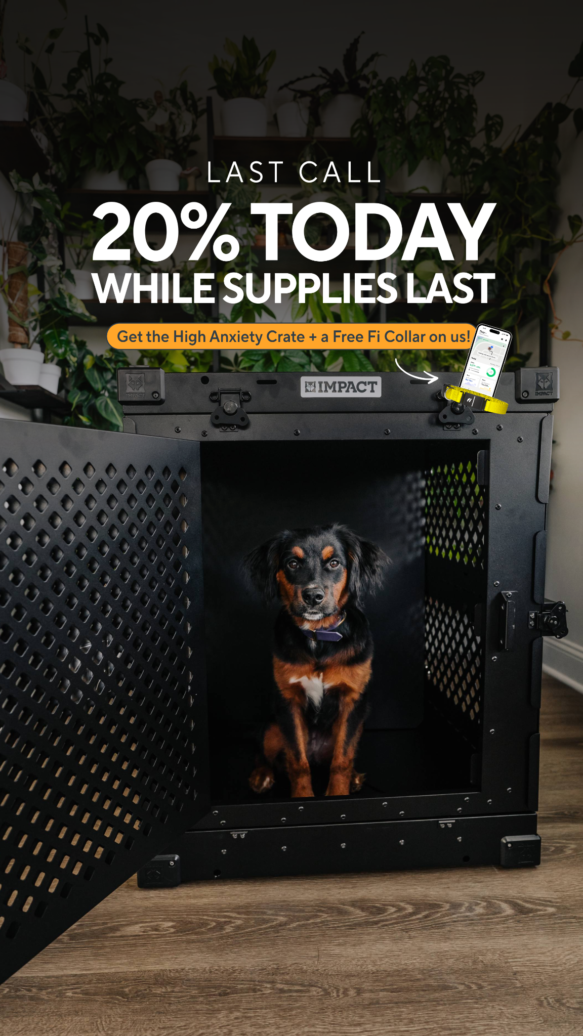 Impact Dog Crates Facebook ad