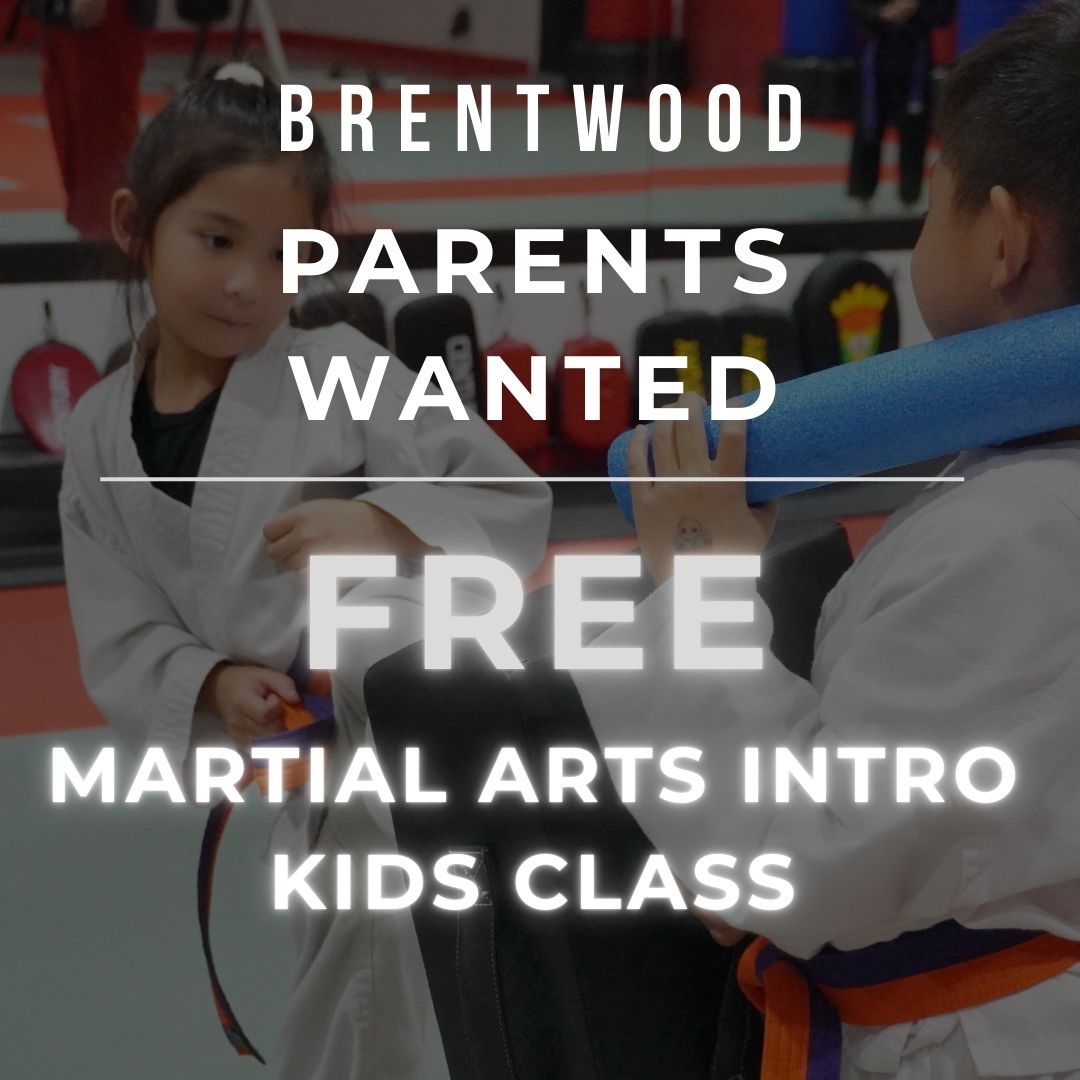 Twin Tigers Academy of Self Defense Facebook ad