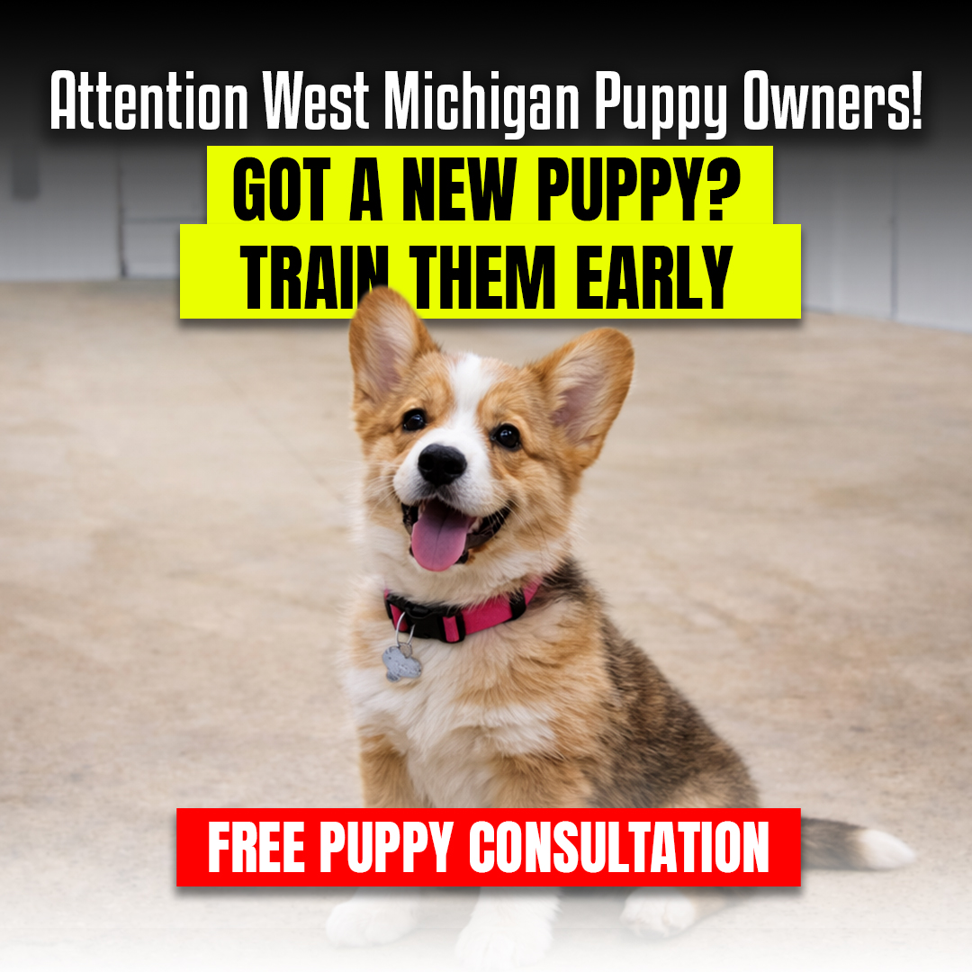 West Michigan K9 Facebook ad