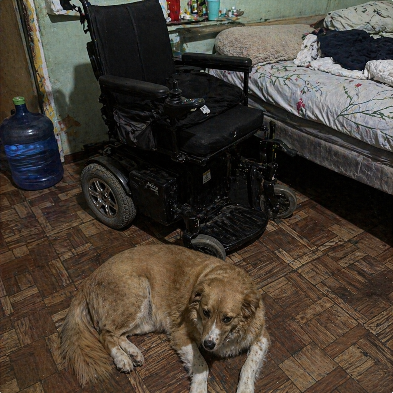 Comunidad Bienestar MX Facebook ad: Lee esto si cuidas a alguien en casa
