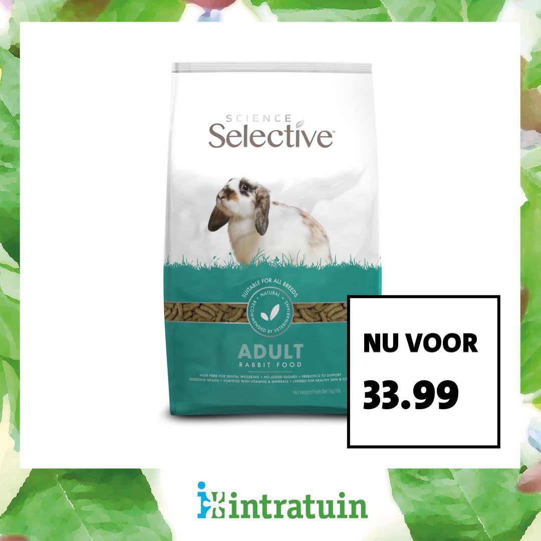 Intratuin Facebook ad