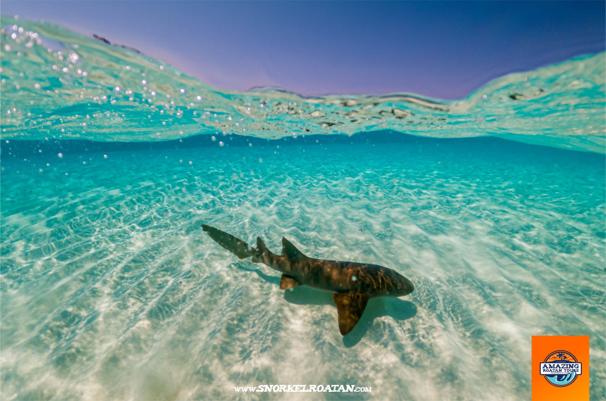 Amazing Roatan Tours Facebook ad