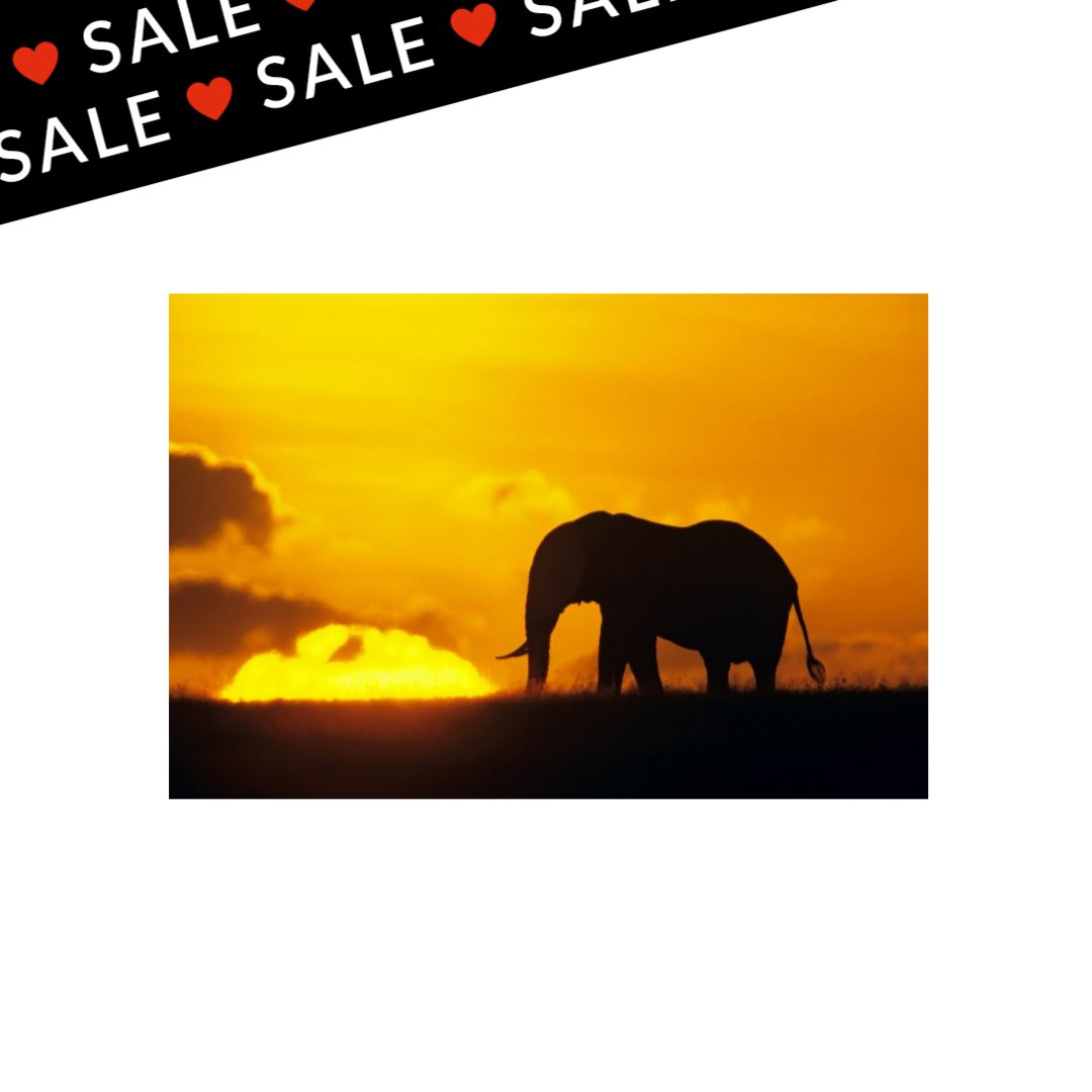 Great Big Canvas Facebook ad