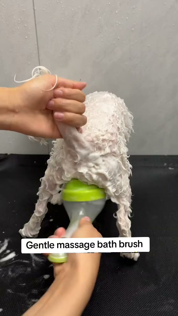 Cbliy Facebook ad: 2-in-1 Pet Bath Brush, Shampoo Dispenser & Soft Massage…