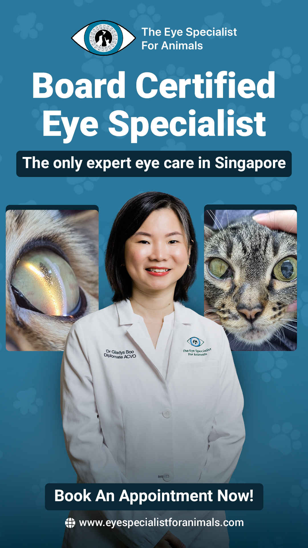 The Eye Specialist for Animals Facebook ad from Aug 17, 2025