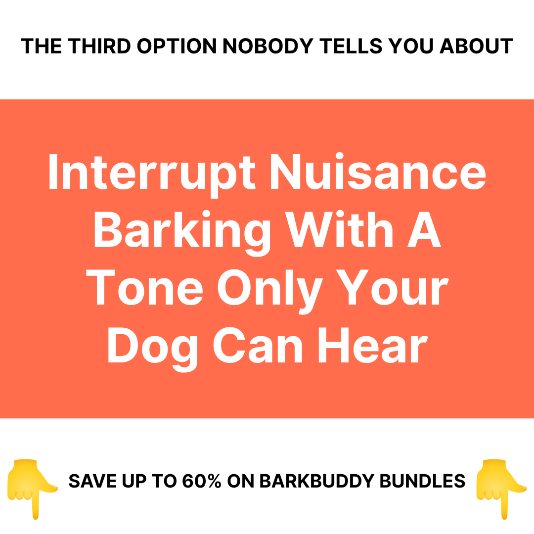 Canine Corner Australia Facebook ad