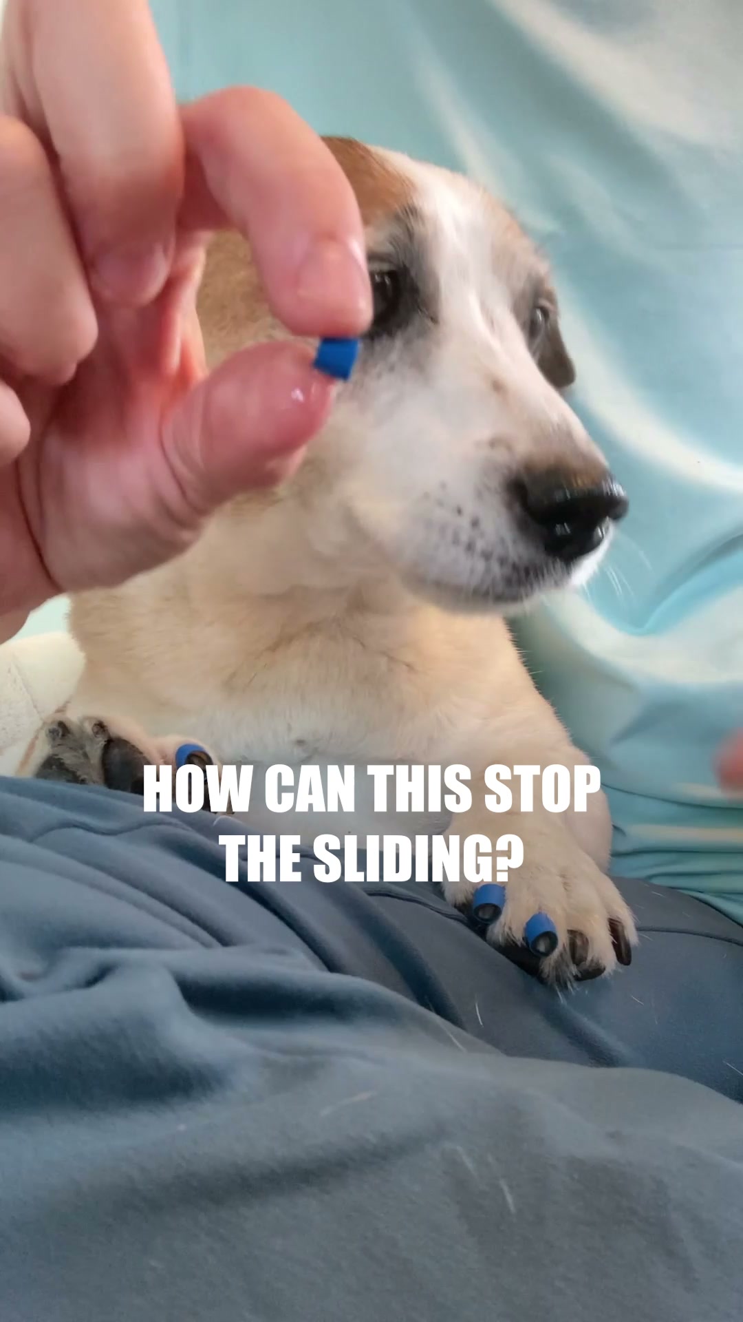 Dr. Buzby's ToeGrips for Dogs Facebook ad: Nature's Grip, Enhanced
