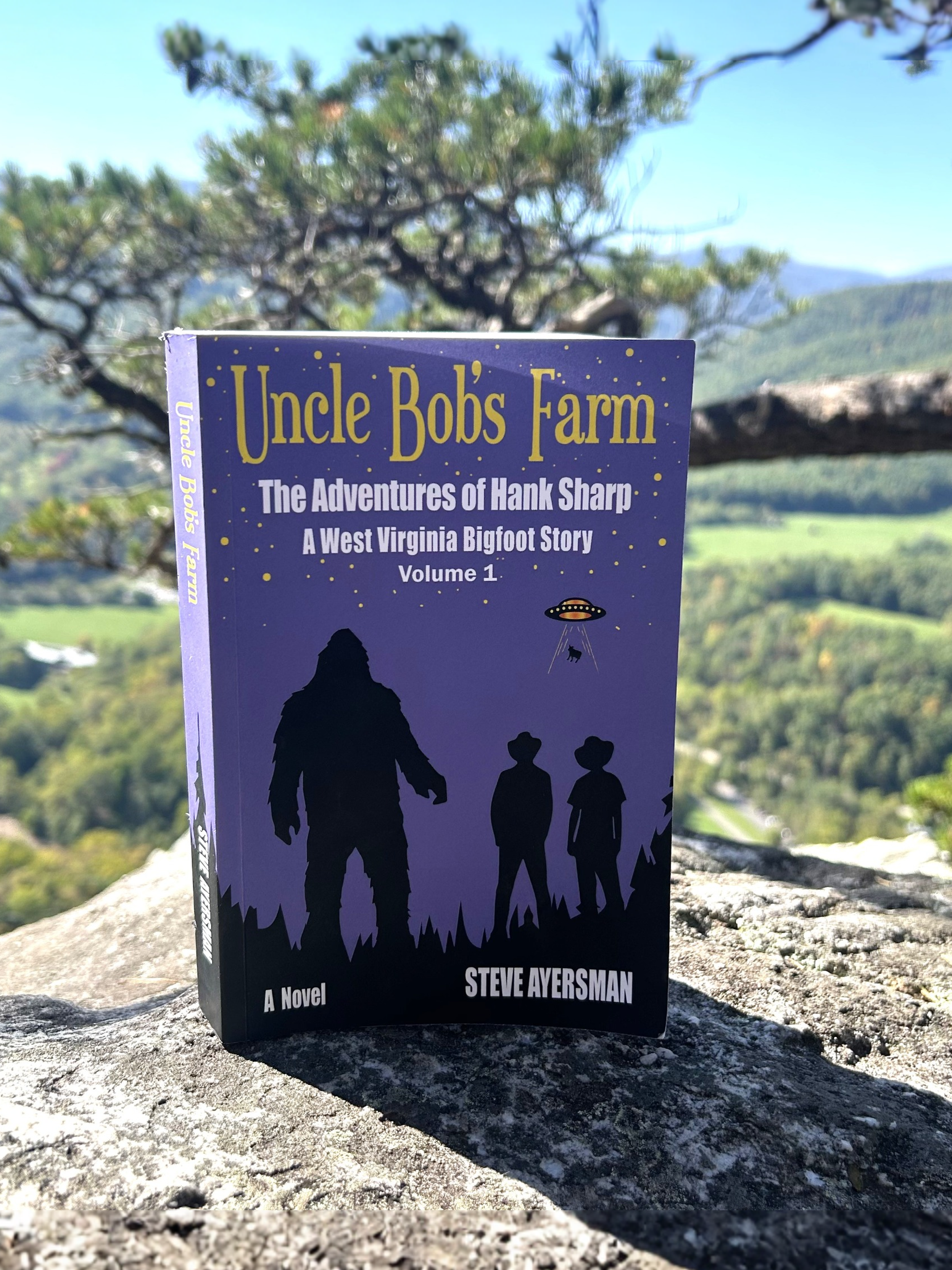 Steve Ayersman - Author Facebook ad