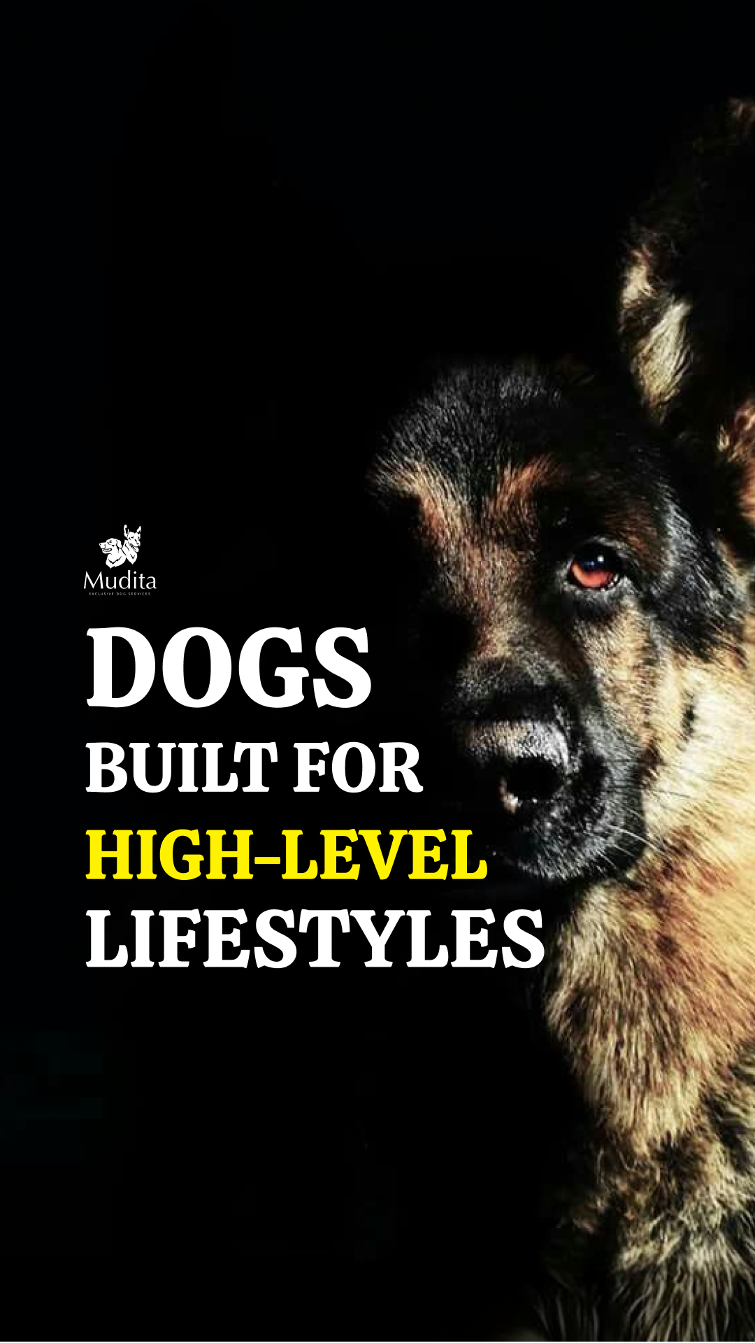 Mudita Exclusive Dog Services Facebook ad from Jul 1, 2026