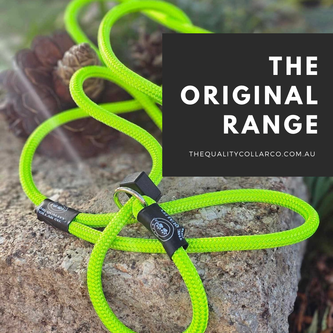 The Quality Collar Co. Facebook ad: Ready to Ship!