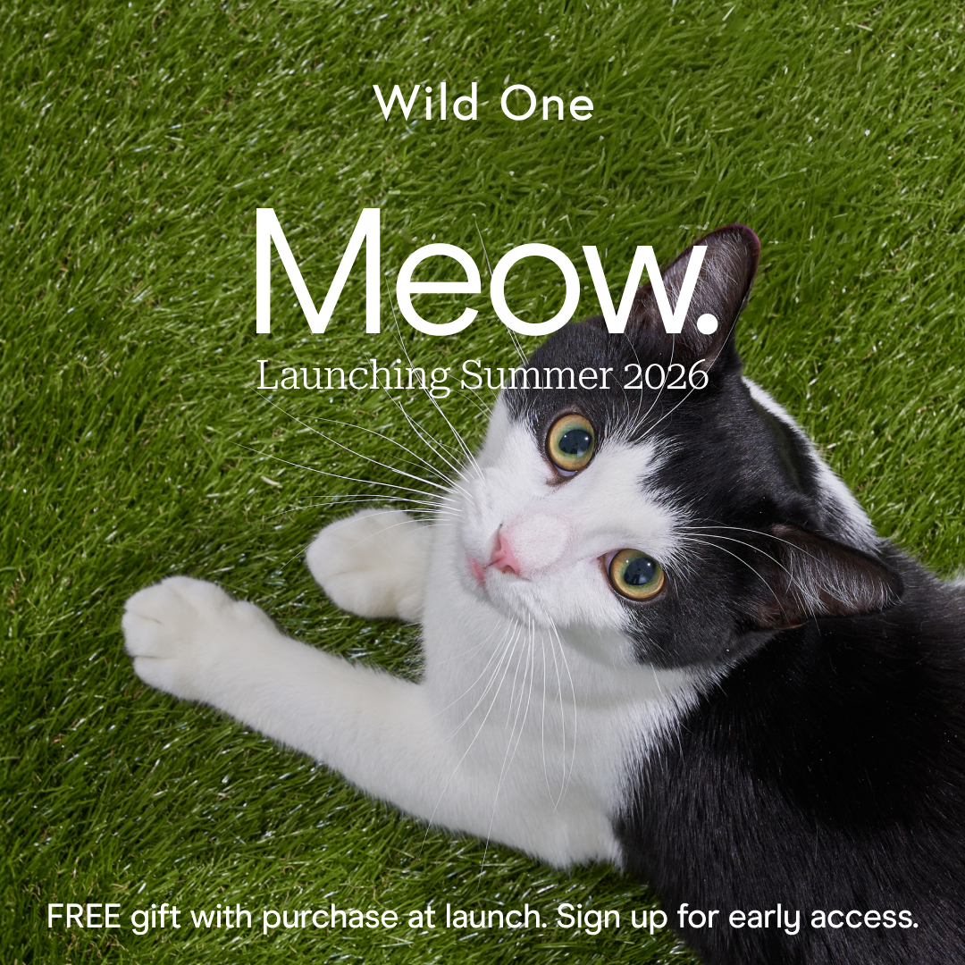 Wild One Facebook ad